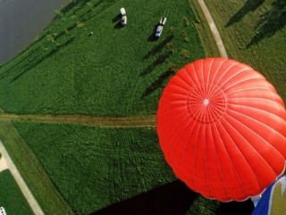  ¡Dan un vuelo 